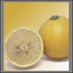 bergamot